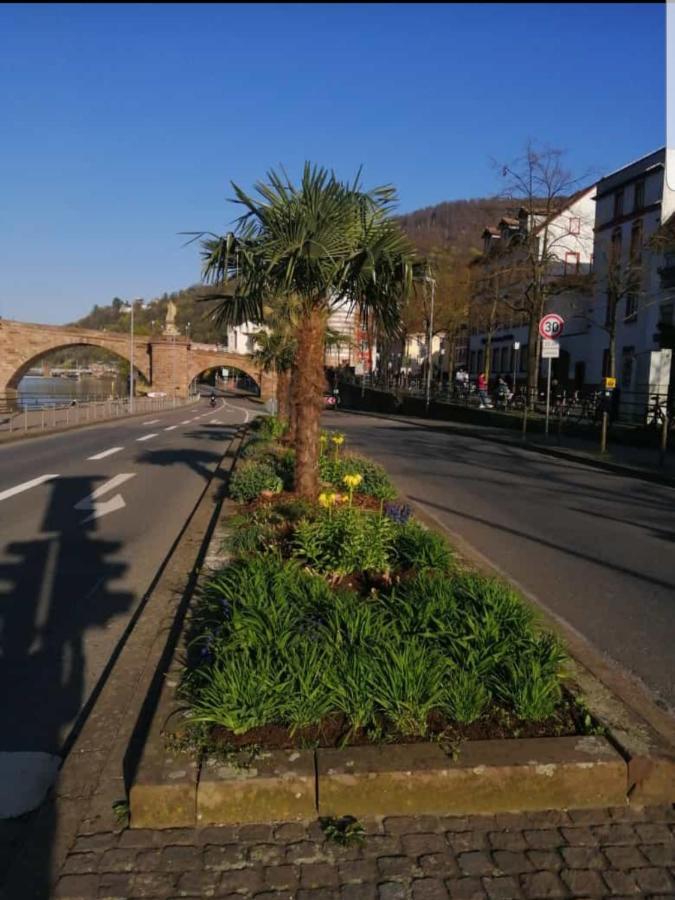 Ferienwohnung Tinas Beauty Neckarsteinach Luaran gambar