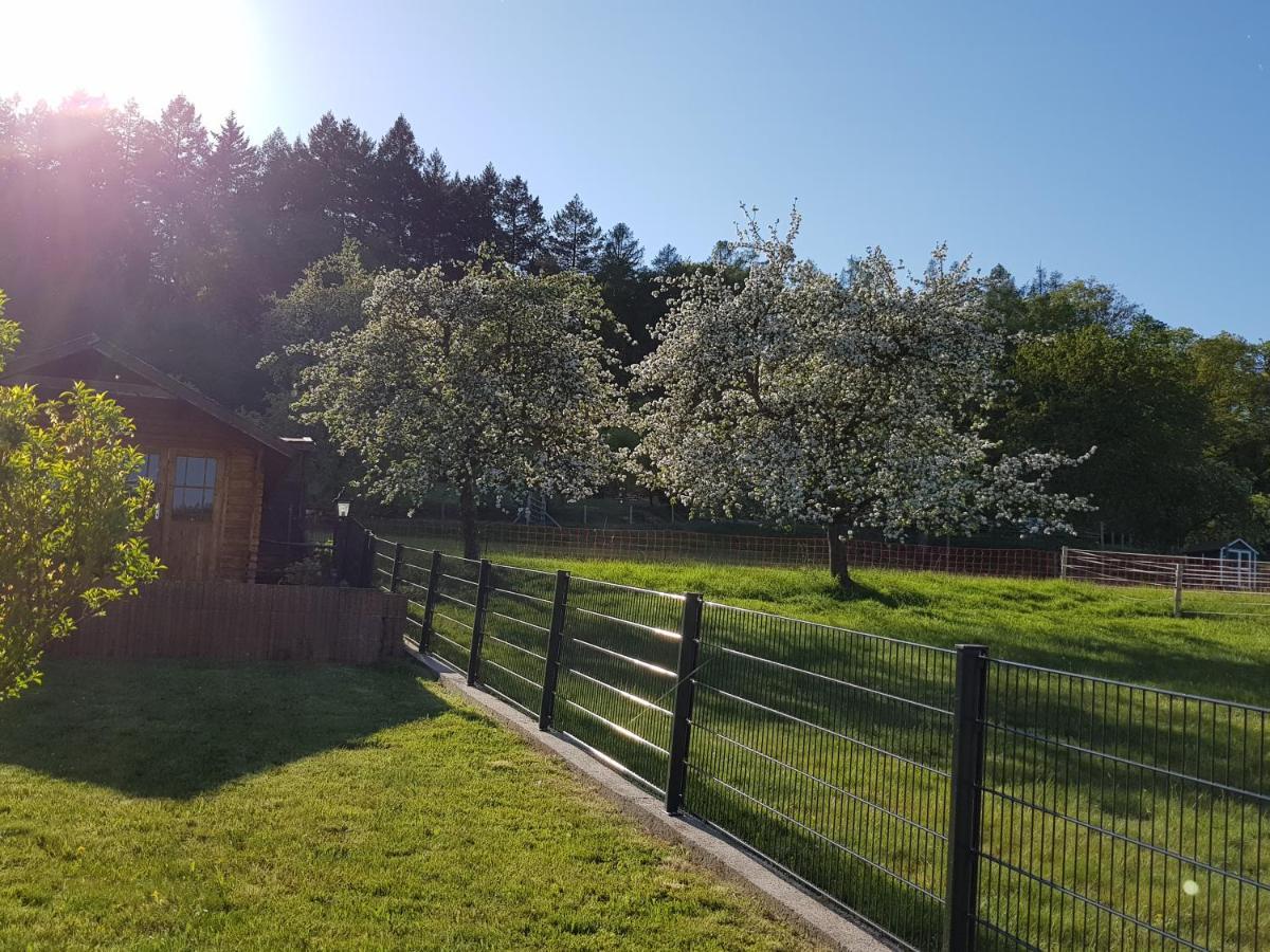 Ferienwohnung Tinas Beauty Neckarsteinach Luaran gambar