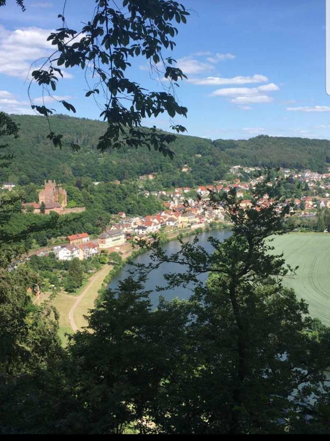 Ferienwohnung Tinas Beauty Neckarsteinach Luaran gambar