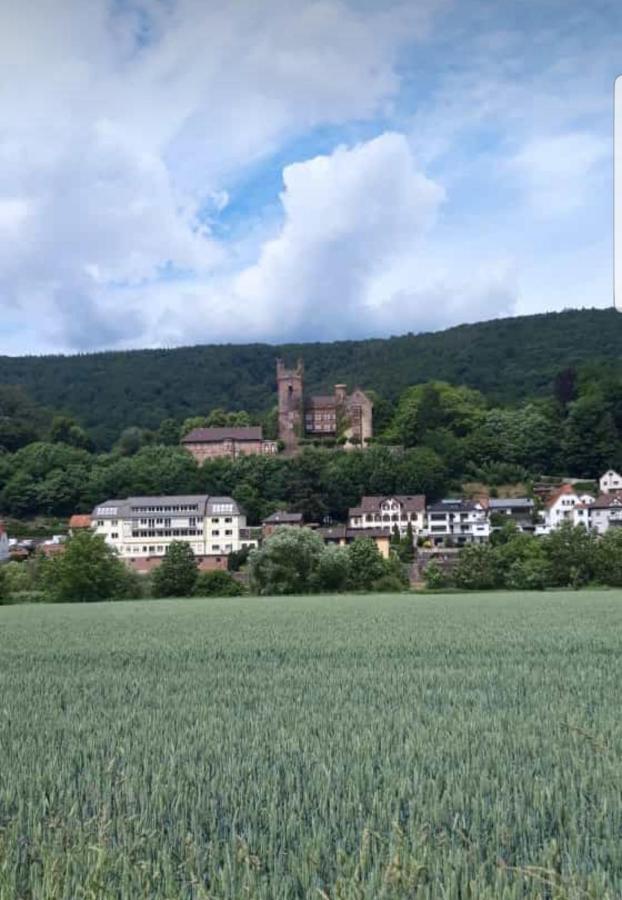 Ferienwohnung Tinas Beauty Neckarsteinach Luaran gambar