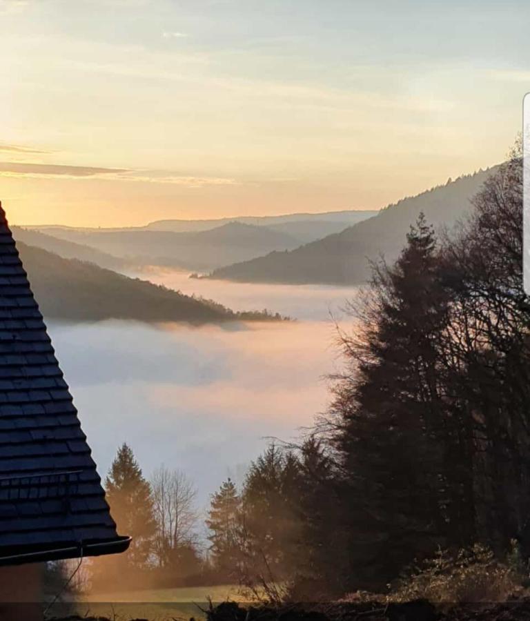 Ferienwohnung Tinas Beauty Neckarsteinach Luaran gambar