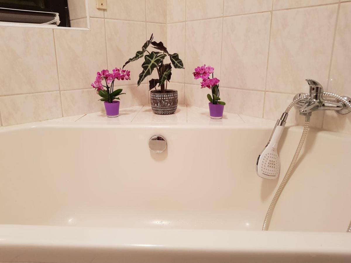 Ferienwohnung Tinas Beauty Neckarsteinach Luaran gambar