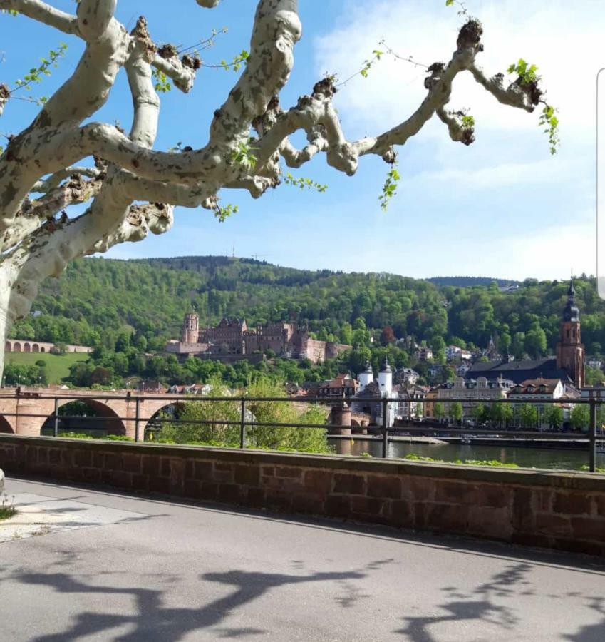 Ferienwohnung Tinas Beauty Neckarsteinach Luaran gambar